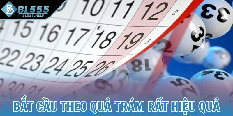 Bắt cầu theo quả trám rất hiệu quả