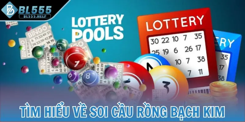 Tìm hiểu về Soi cầu Rồng Bạch Kim